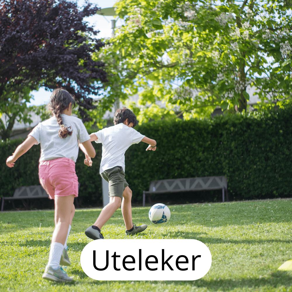 Uteleker - Lekeproffen.no