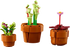 10329 LEGO Miniatyrplanter V29 - Lekeproffen.no