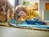 60456 LEGO City Skurkejakt med politibåt - Lekeproffen.no