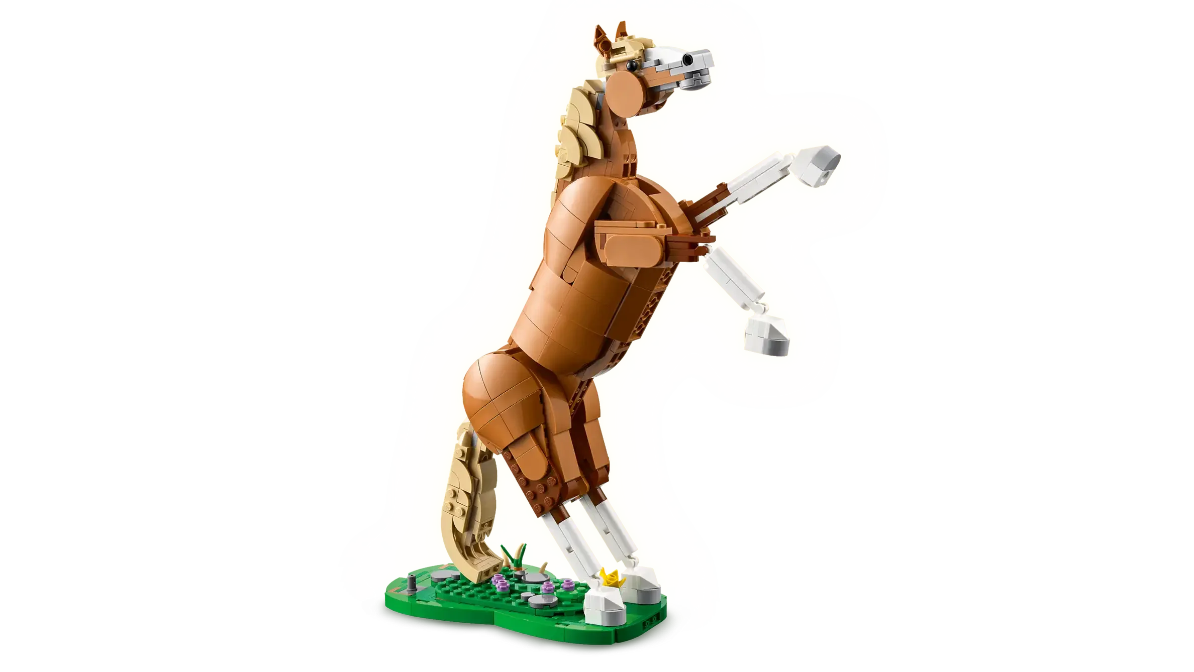 31166 Vakker hest