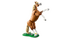 31166 Vakker hest