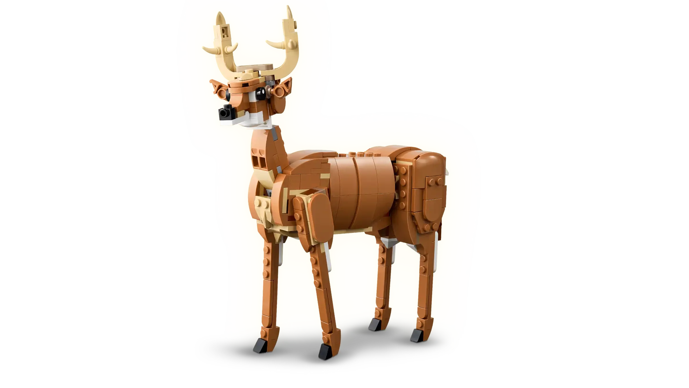 31166 Vakker hest