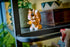 LEGO ekorn lekefigur på hylla med grønne planter i bakgrunn
