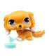 Littlest Pet Shop Pet Pals 1 stk med tilbehør - Lekeproffen.no