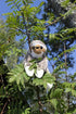 Lumo Stars Sloth Coffe Bamse Classic - Lekeproffen.no