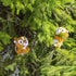 Lumo Stars Squirrel Kurre Bamse Classic - Lekeproffen.no